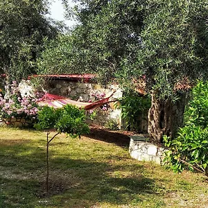 Filoxenia - The Place Of Experience Affittacamere